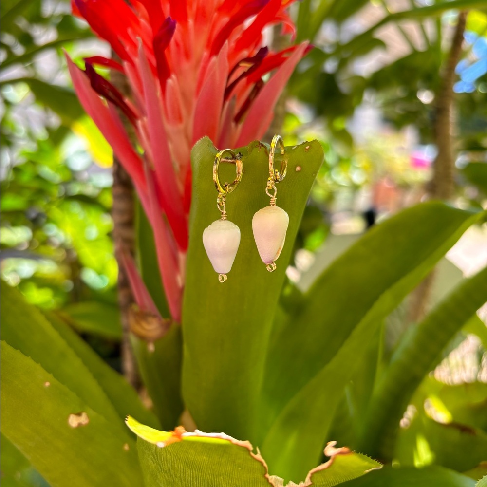 Elegant Gold Cone Shell Drops